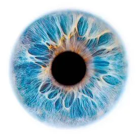 Life Expert Wellness Scanner